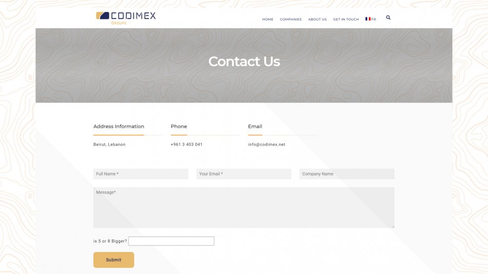 Codimex Groupe - Contact page with spam free form