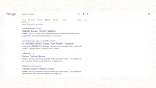 Codimex Groupe - Google search results on page 1!